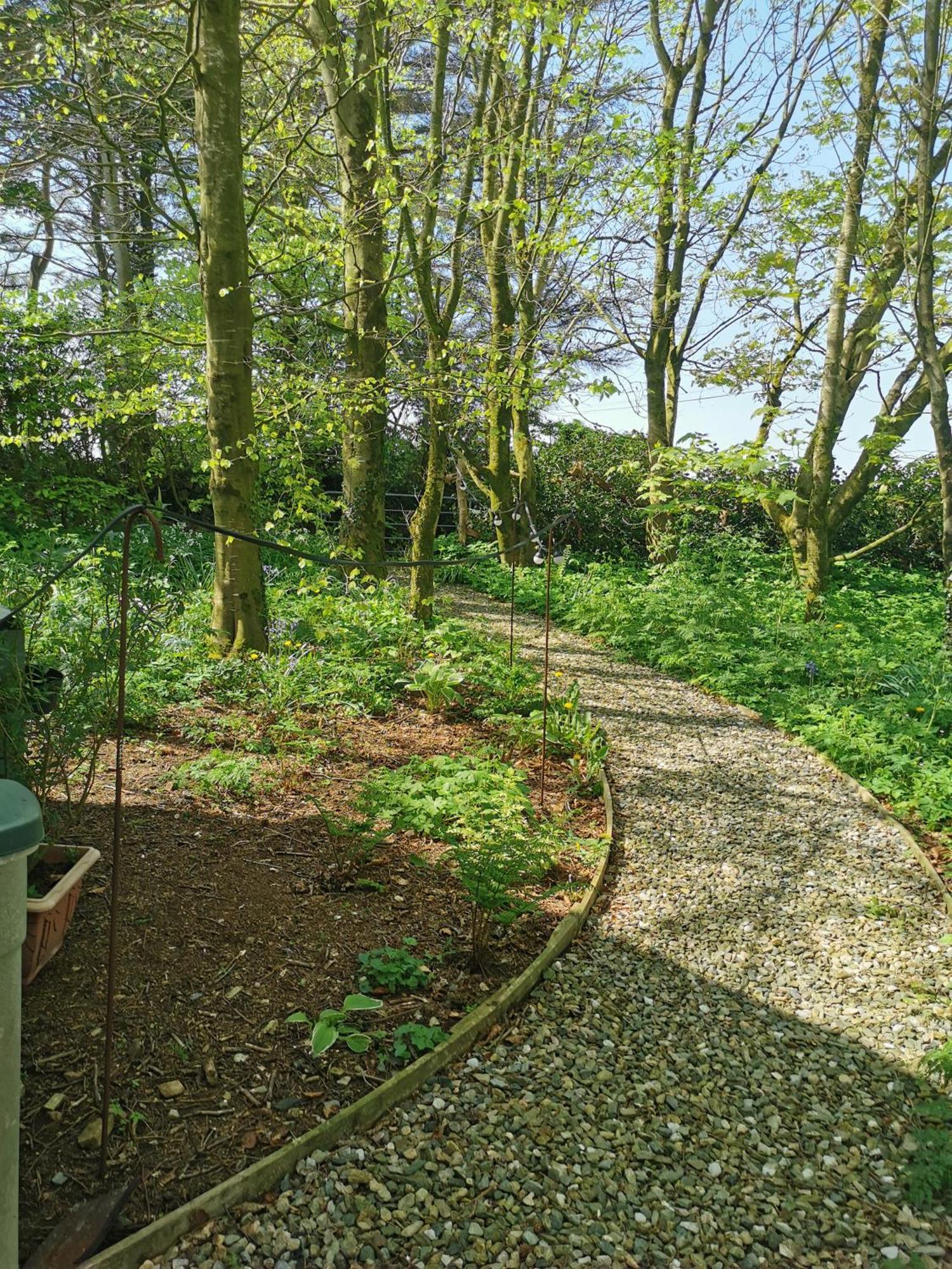 Doughery Den The Dark Hedges Hideaway Armoy Zewnętrze zdjęcie